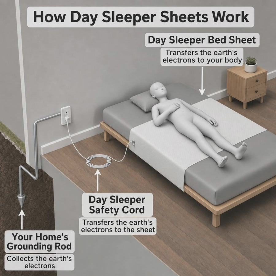 Day Sleeper grounding path animation earth to sheet to body green flow